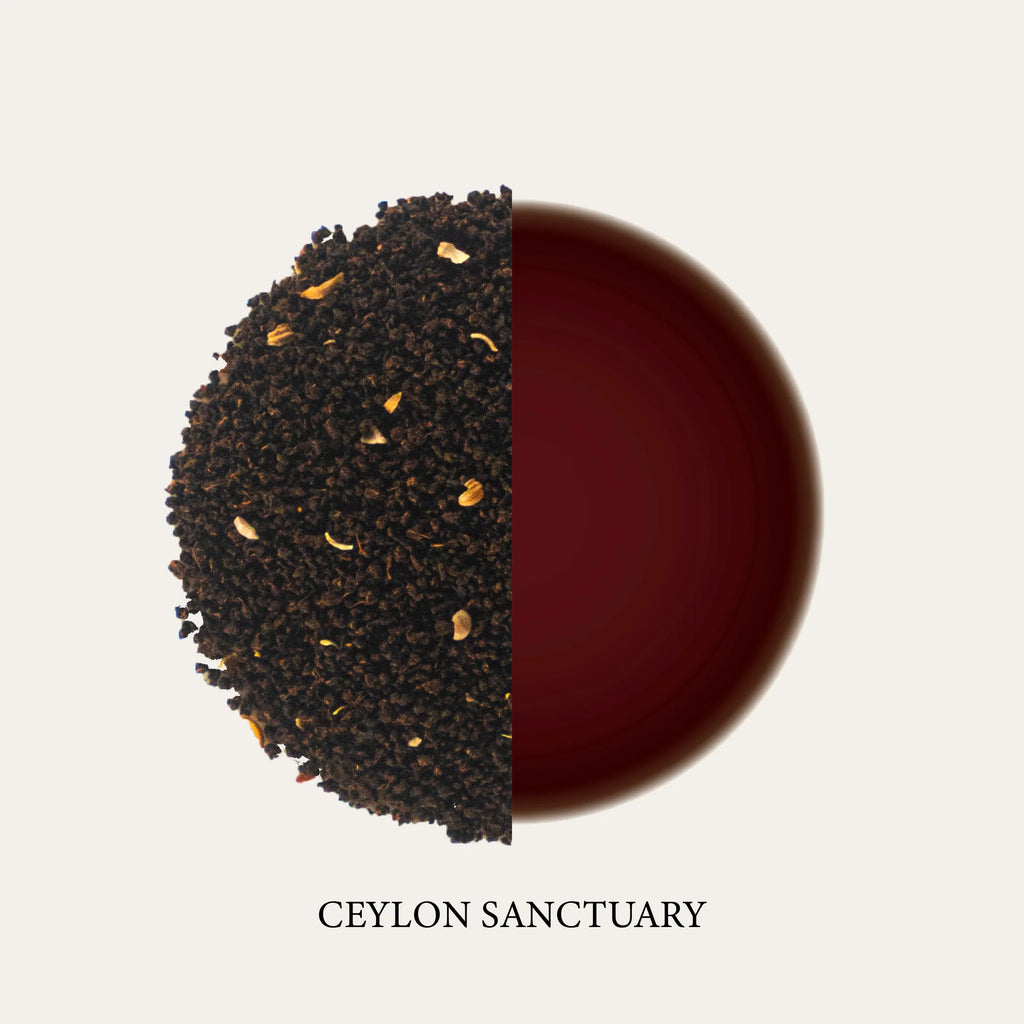 Known Stranger - Ceylon Sanctuary Black Tea