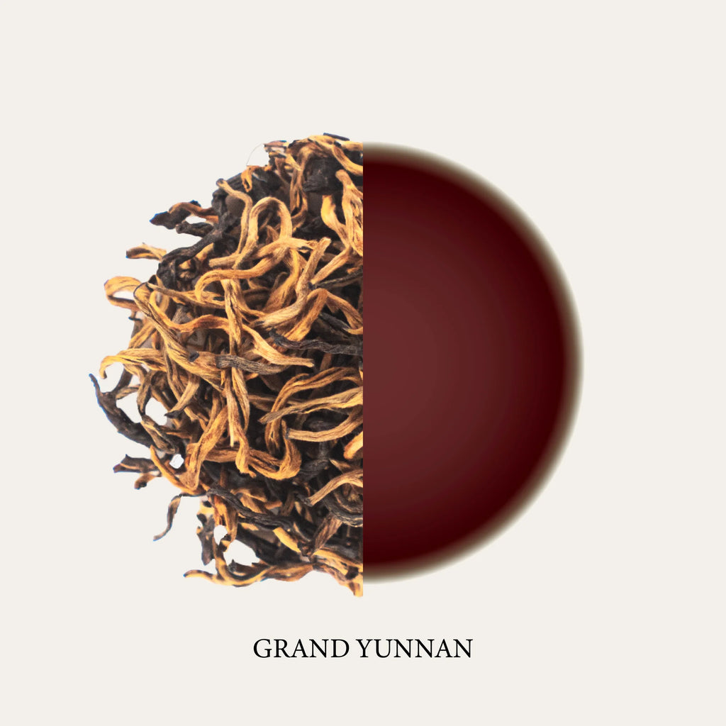 Known Stranger - Grand Yunnan Black Tea